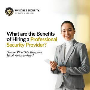 What are the Benefits of Hiring a Professional Security Provider?